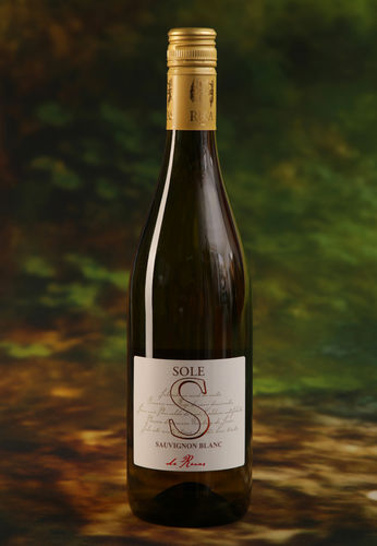 RECAS Sole - Sauvignon Blanc 2020 (Einzellage)