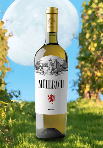 BOIERU Mühlbach - Pinot Gris 2019 (DOC-CMD)